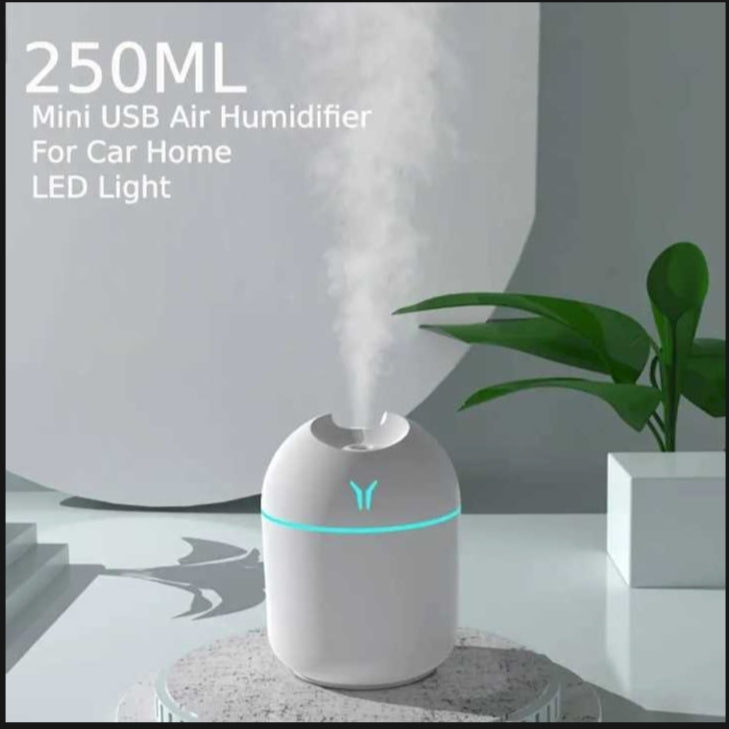 Portable Mini Air Humidifier USB Desktop for Car, Bedroom Mist Maker with Sprayer with LED Light Panda Mart