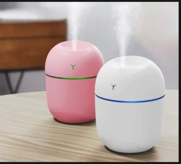 Portable Mini Air Humidifier USB Desktop for Car, Bedroom Mist Maker with Sprayer with LED Light Panda Mart