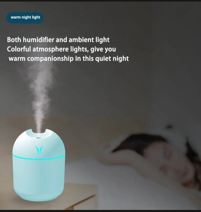 Portable Mini Air Humidifier USB Desktop for Car, Bedroom Mist Maker with Sprayer with LED Light Panda Mart