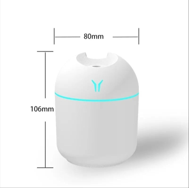 Portable Mini Air Humidifier USB Desktop for Car, Bedroom Mist Maker with Sprayer with LED Light Panda Mart